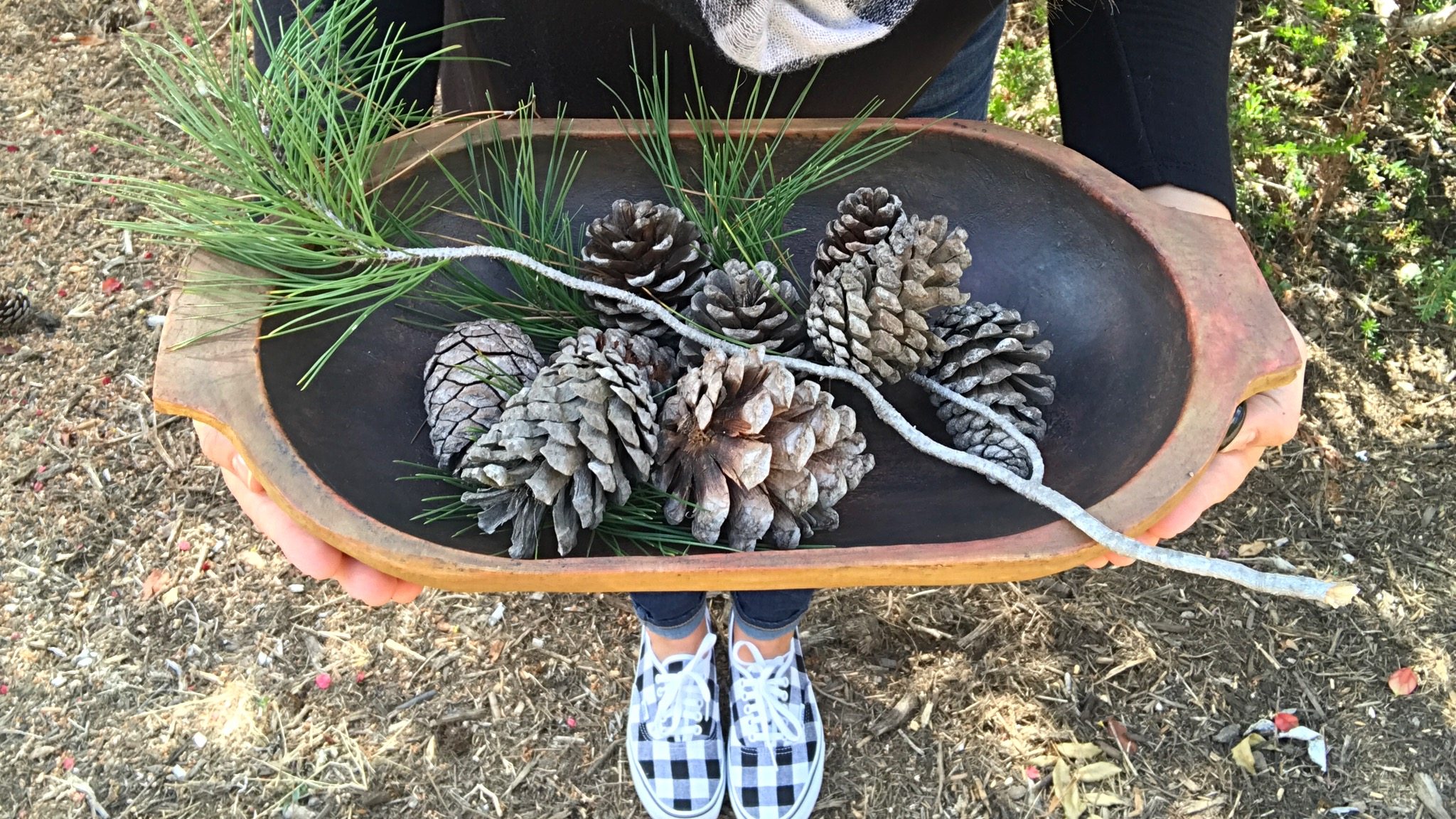 How To Treat Outdoor Pine Cones For Crafts - Jaclyn James Company