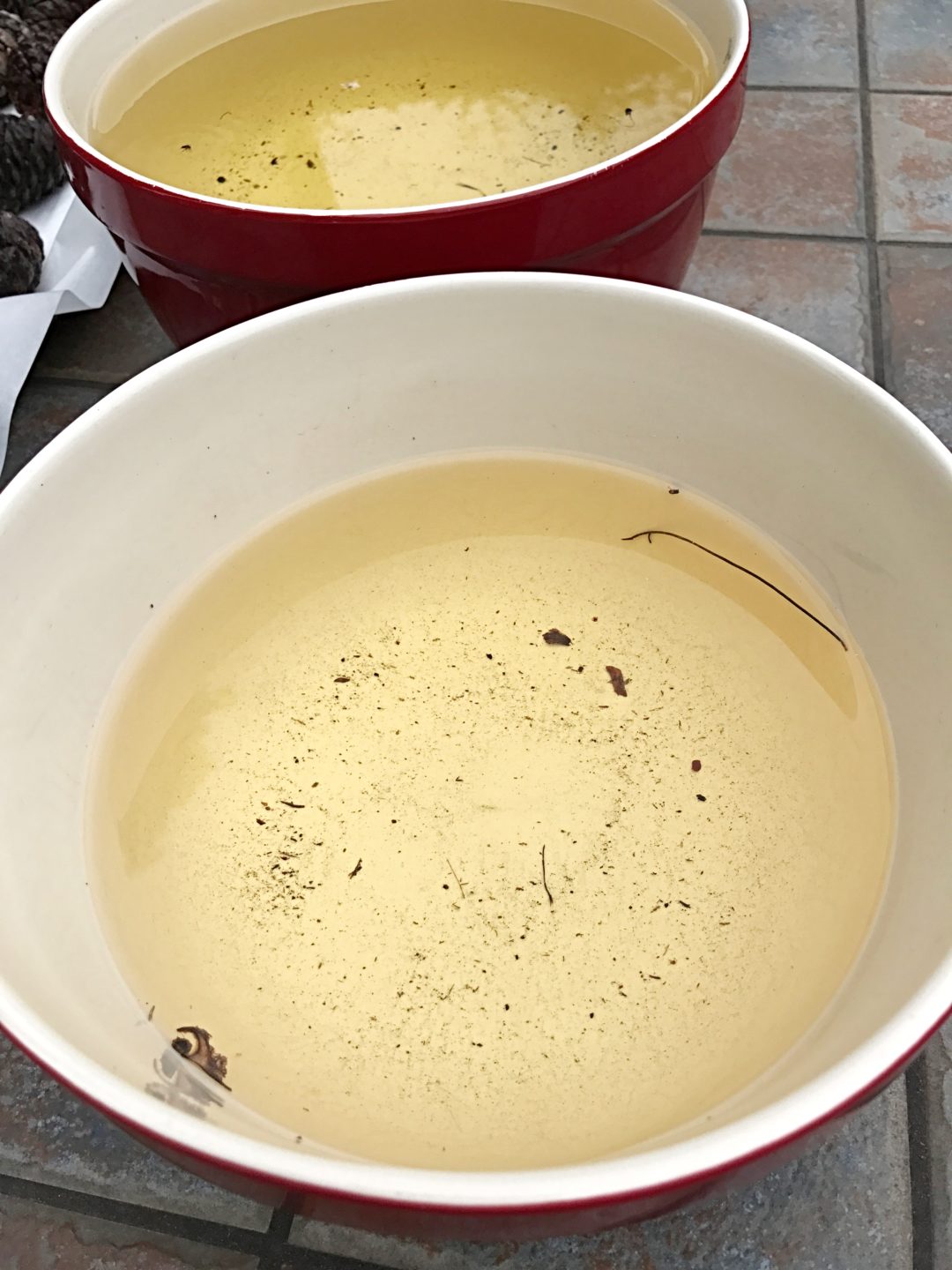 How To Treat Outdoor Pine Cones For Crafts Jaclyn James Company