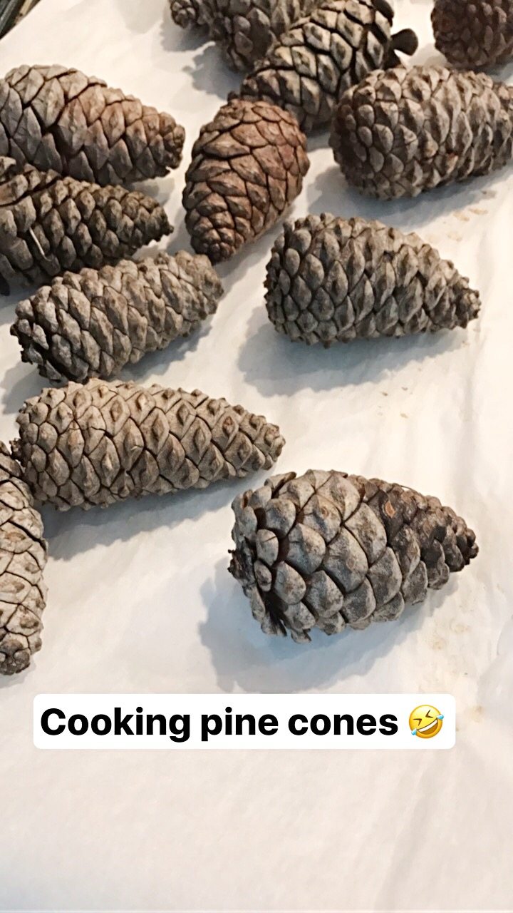 🧶🌲🧶Bleaching pinecones for crafts. Do feel free to save and