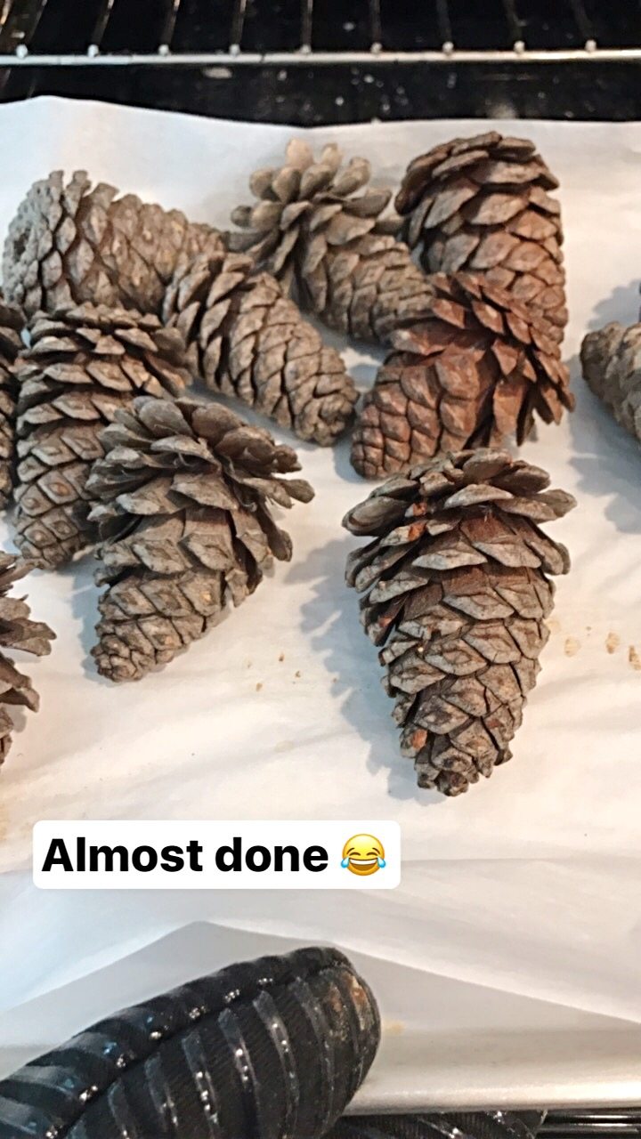🧶🌲🧶Bleaching pinecones for crafts. Do feel free to save and