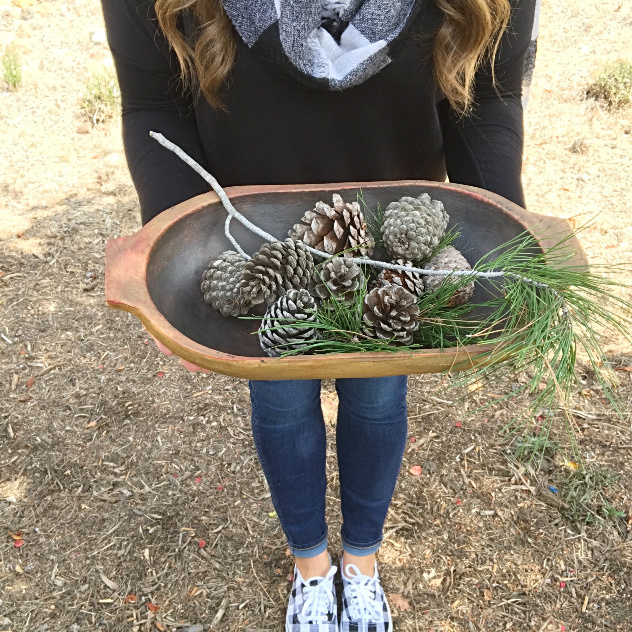 How to Make Pine Cones Pop :: Dry and Debug Pine Cones - An